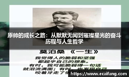 原帅的成长之路：从默默无闻到璀璨星光的奋斗历程与人生哲学